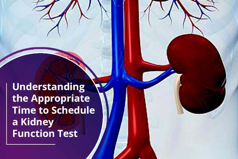 Understanding the appropriate time to schedule a kidney function test